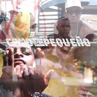 COMO ZEPEQUEÑO (feat. alex king la jerarquia, Stiven Jr, El 3bol, JackesBlack slow, STAANLY WA, ELIANBT & manuel la h) - Single - lokarios musicales