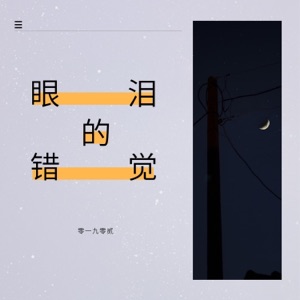 眼泪的错觉 - Single