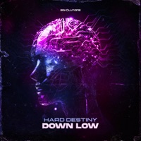 Down Low - Single - Hard Destiny