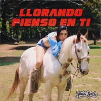 LLORANDO PIENSO EN TI - Single - Mala Santa