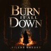 Burn It All Down - Single