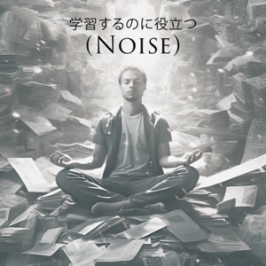 学習するのに役立つ (Noise)