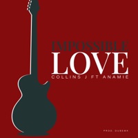 IMPOSSIBLE LOVE (feat. Anamie) - Single - CollinsJ
