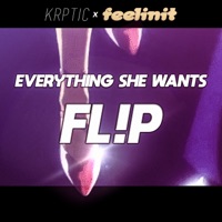 Everything She Wants FL!P (feat. Krptic Unknown) - Single - feelinit