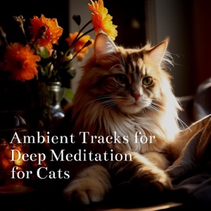 Ambient Tracks for Deep Meditation for Cats