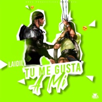 Tu Me Gusta a Mi - Single - Laidil