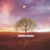 Changes