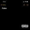 Fake - Single