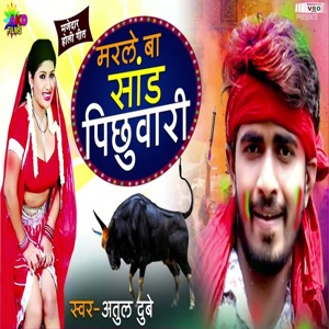 Marle Ba Sadh Pichhuwari
