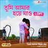 Tumi Aamar Hoye Jao (Lofi) - Single