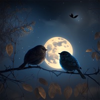 กอดจนวันสุดท้าย - Single - Sakarin