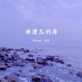 被遗忘的海 (伴奏) 陆杰awr & 李OK