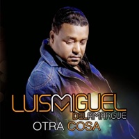 Otra Cosa - Luis Miguel del Amargue