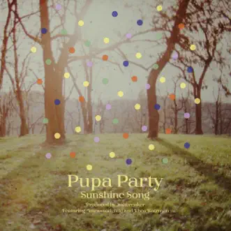 Sunshine Song (feat. vnesswolfchild & Theo Katzman) - Single by Pupa Party album reviews, ratings, credits