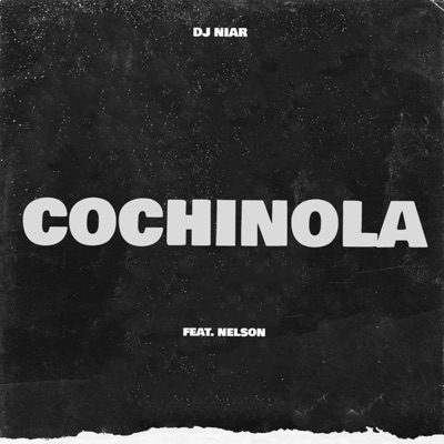 Cochinola (feat. Nelson) - Single