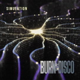 Simulation Burn The Disco