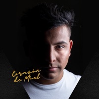 Corazón De Miel - Single - Santiago Cueto