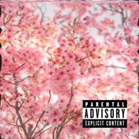 Dogfood Freestyle - Single - MIAMI DAVE