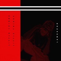 Little Things - Single - Lameepor