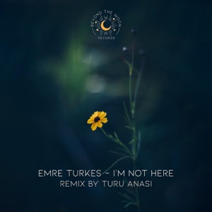I'm Not Here - Single