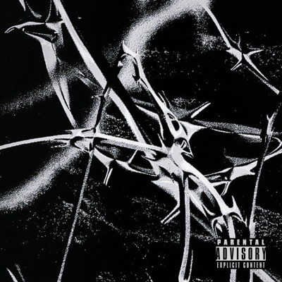 Zipper (feat. Emaity & Til Braedi) - Single