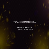 TU VAI SER BEM RECEBIDA (feat. DJ DANIEL SOUZA) - Single - DJ JH QUERIDÃO