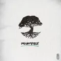 Inamovible