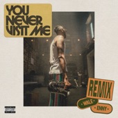 You Never Visit Me (Remix) artwork