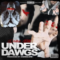 UnderDawgs (feat. Duke Bill) - Single - Andrei Lgnd