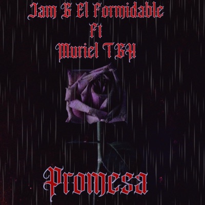 Promesa 2 (feat. Muriel TGH) [Remix] - Single