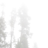 Vagabond - Single - Sha Tha Shaman