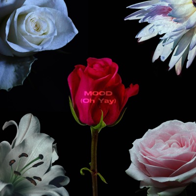 Mood (Oh Yay) - Single