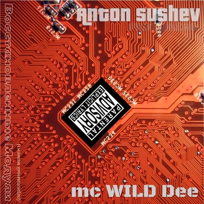 Переломный Момент(Восстановленные Модули) [feat. Anton Sushev] - Single