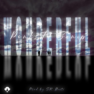 Wonderful (feat. Sanip)