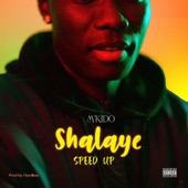 Shalaye (Speed Up) artwork