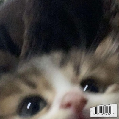 gustyequation - warp