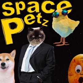 Cat vs Chicken Hey Nate