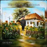 Не стій під вікном (Remix) - Single - Skydan
