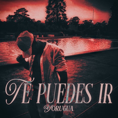 Te Puedes Ir - Single