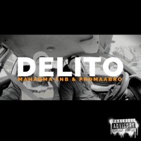 Delito (feat. Promaabro) - Single - MAHADMA FNB