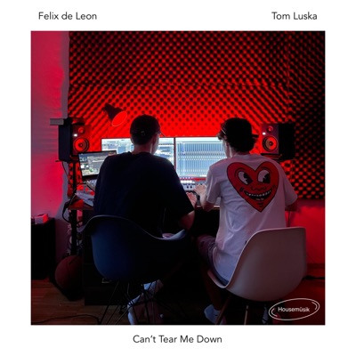 Can't Tear Me Down (feat. Tom Luska & Housemüsik) - Single