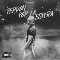 Perdón Por La Espera - Alan Reyes