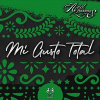 Mi Gusto Total - Single - Ariel Barreras