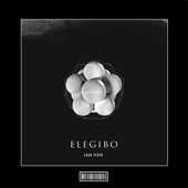 Elegibo (Hardstyle Remix) artwork