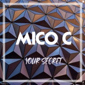 Your Secret (Molio Remix) artwork