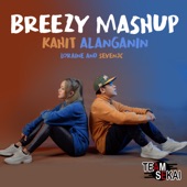 Kahit Alanganin Breezy Mashup artwork