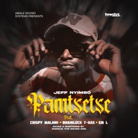 Pamtsetse (feat. Tkas, Crispy Malawi & Em L) - Single - Jeff Nyimbo