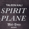 Spirit Plane (Male Tears Remix) - Single