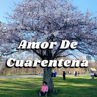 Amor De Cuarentena - Single