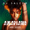 Amapiano Mix 2023 - Dj Saleem